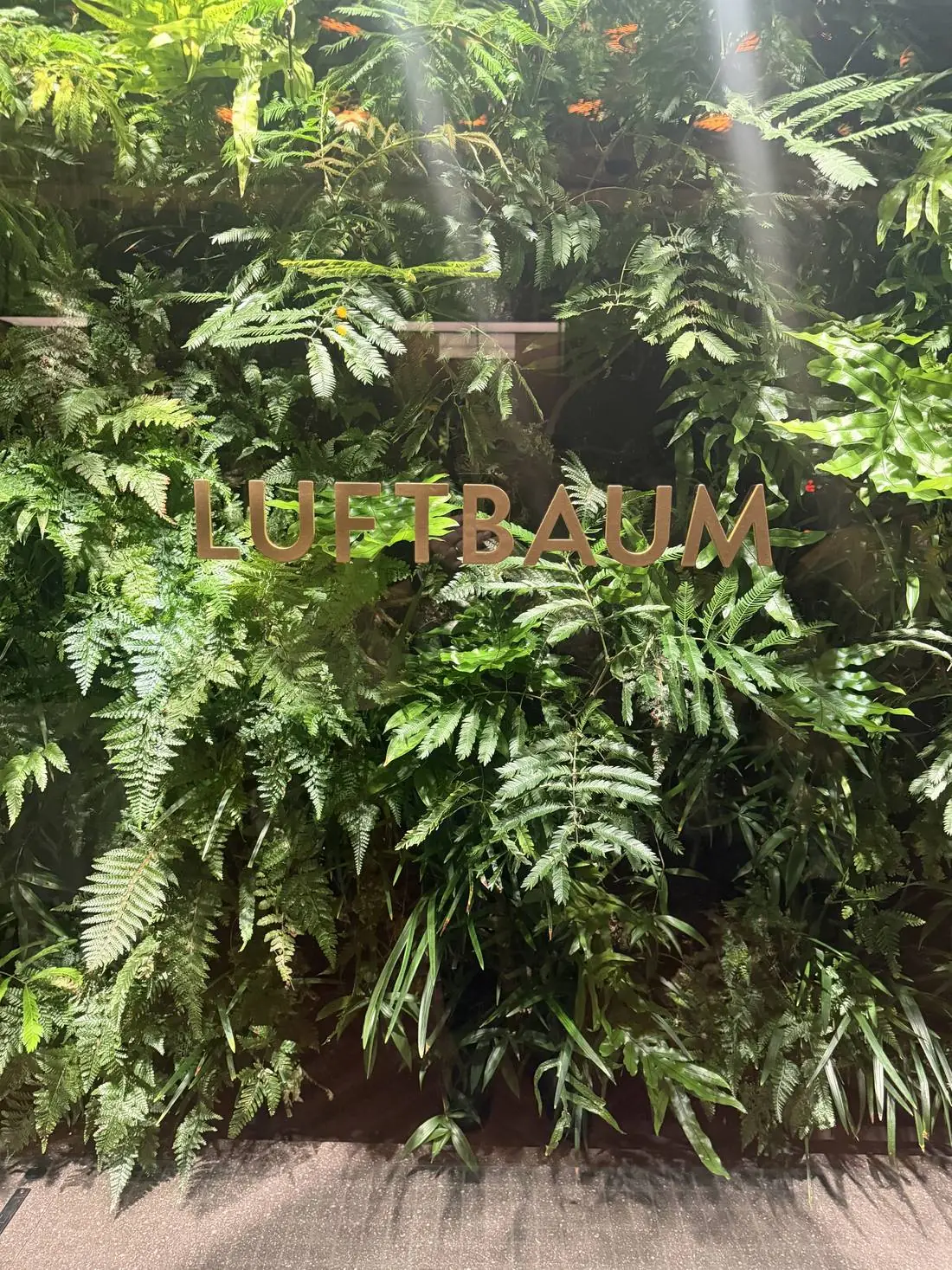 緑に埋もれたLUFTBAUMのサイン